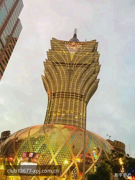 揭秘CN区新浦京136772026最新版本：安卓端与网页版之间的那些坑